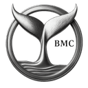 Beluga Logo